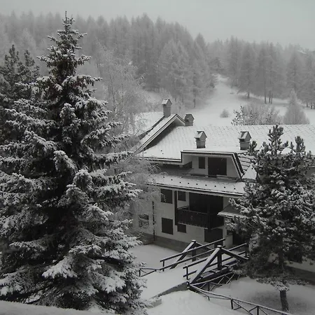 Grangia Villard *